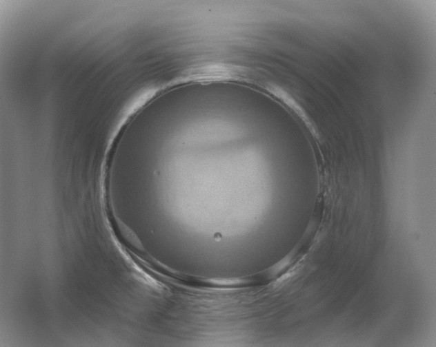 X0000063511477200601201426