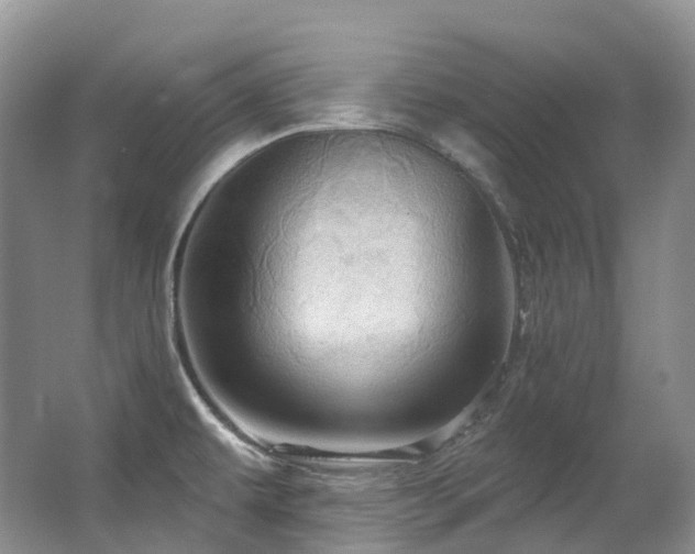X0000063511479200601201426
