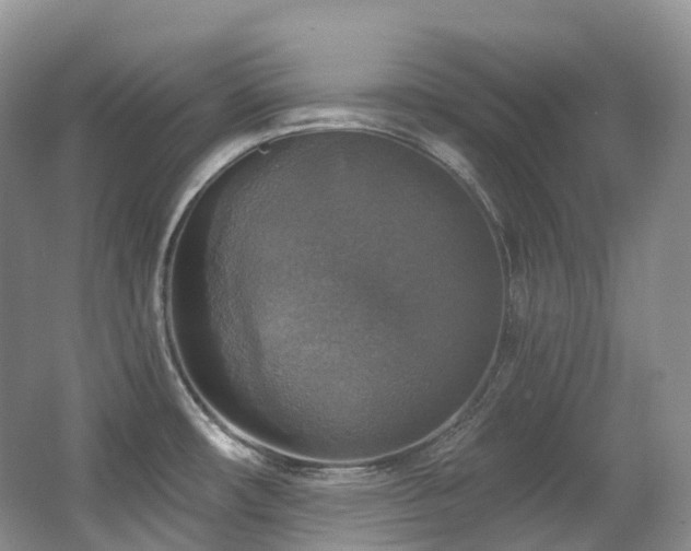 X0000063511482200601201426