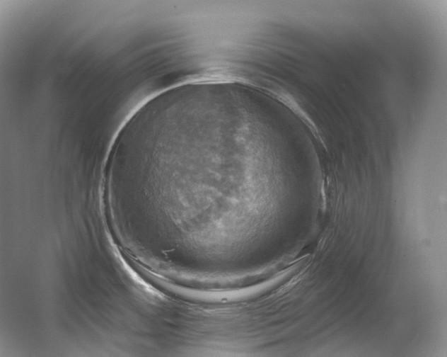 X0000063511484200601201426
