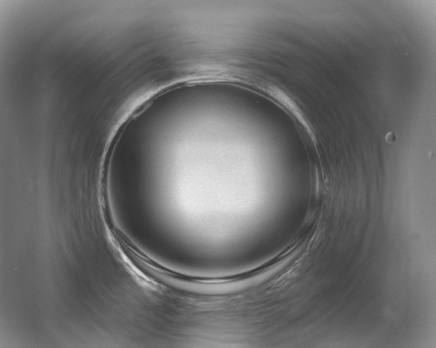 X0000063511485200601201426