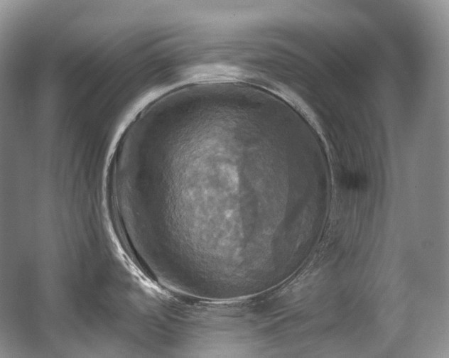 X0000063511488200601201426