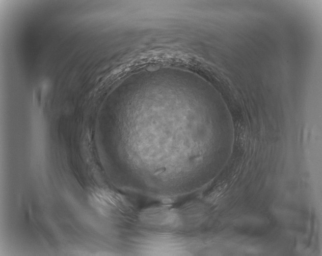 X0000063511489200601201425