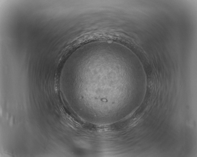 X0000063511490200601201425