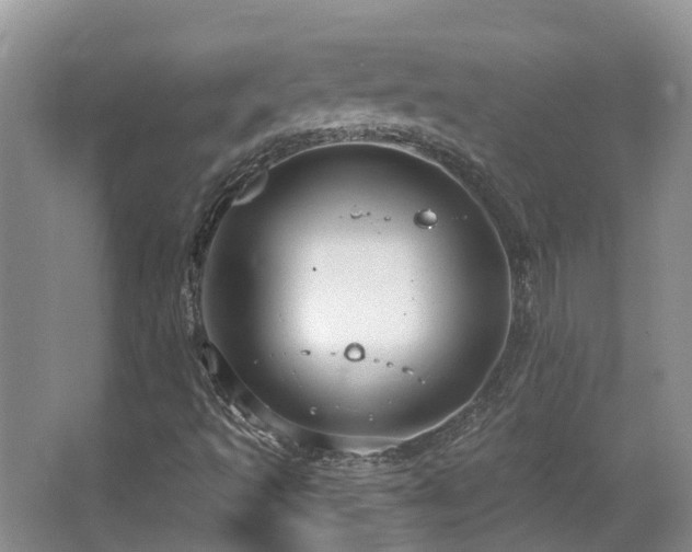 X0000063511493200601201425