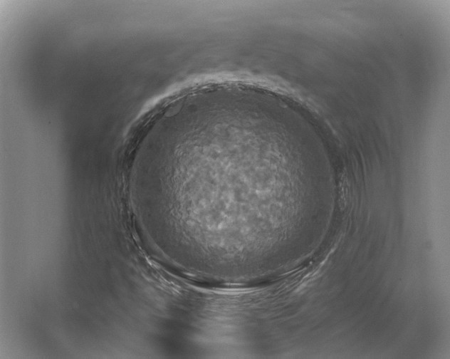 X0000063511494200601201425