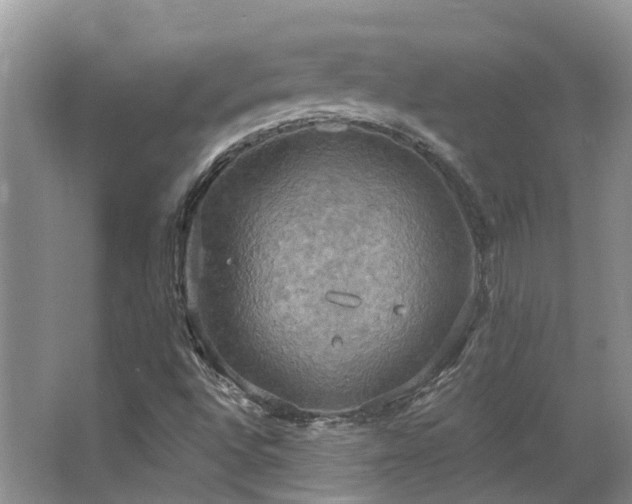 X0000063511496200601201425