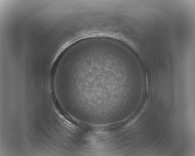 X0000063511501200601201425