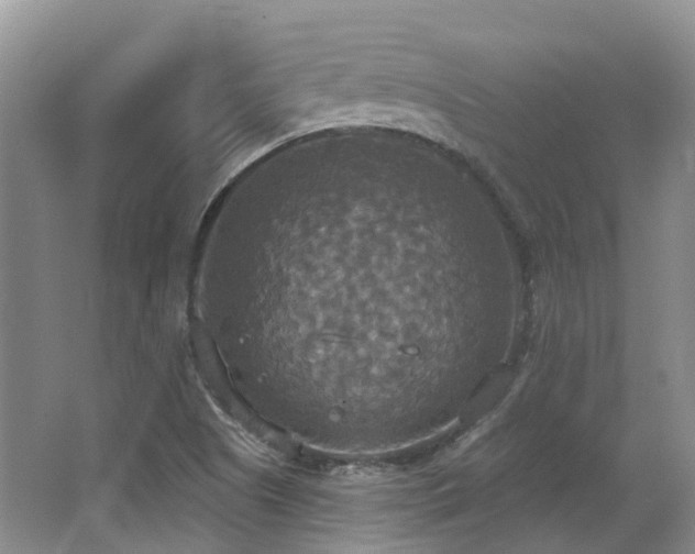 X0000063511505200601201425