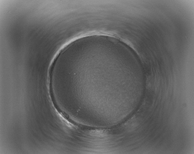 X0000063511508200601201425