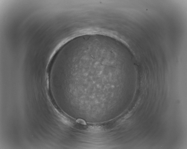 X0000063511509200601201425