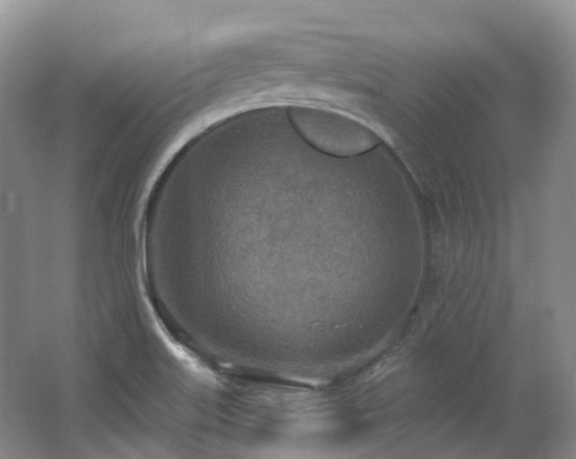 X0000063511515200601201425