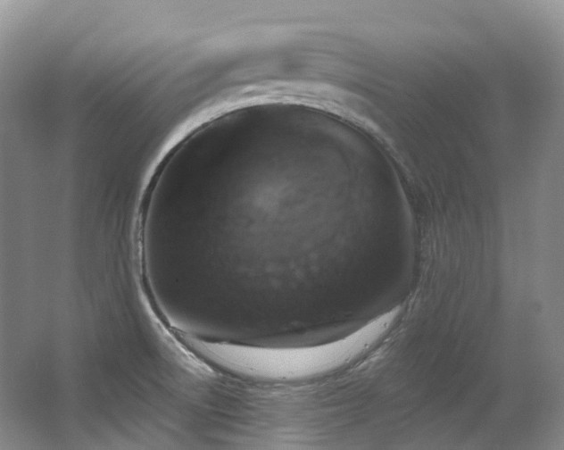 X0000063511522200601201425
