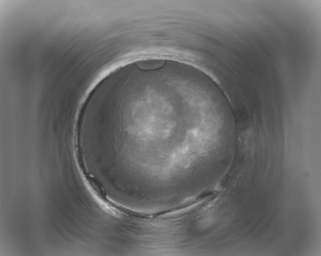 X0000063511523200601201425