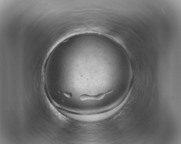 X0000063511524200601201425