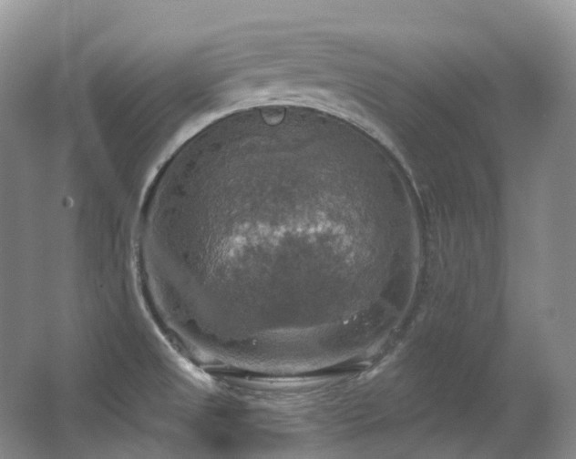 X0000063511525200601201425