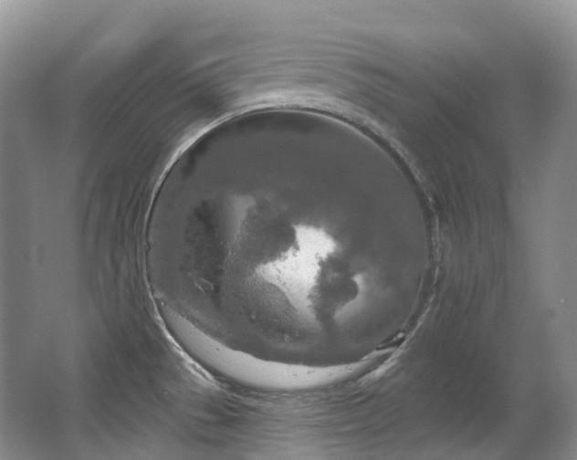 X0000063511529200601201425