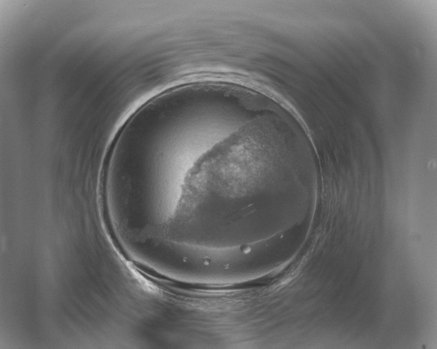 X0000063511533200601201425