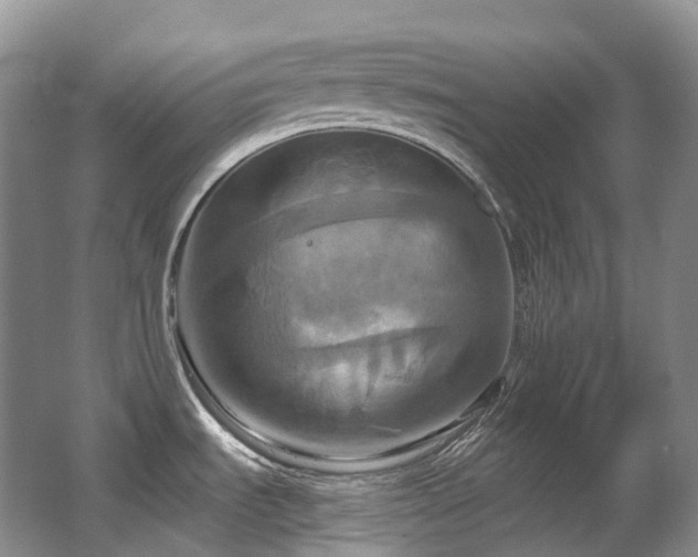 X0000063511535200601201426