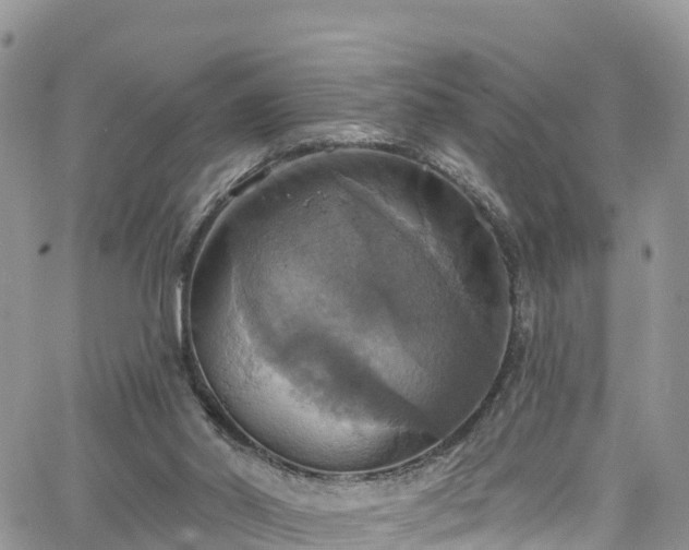 X0000063510014200601231514
