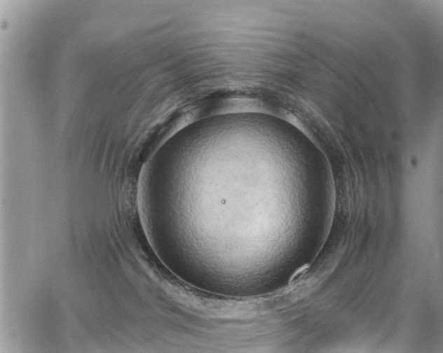 X0000063510044200601231513