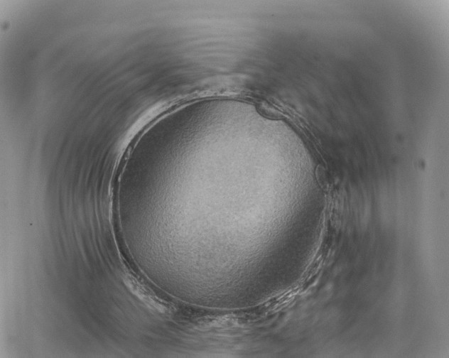 X0000063510100200601231512