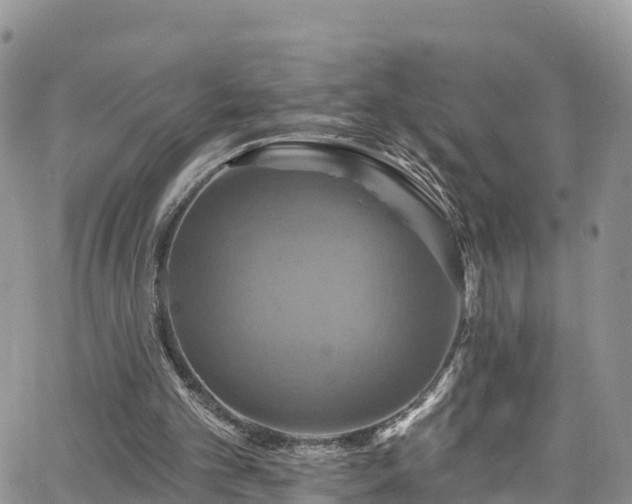X0000063510101200601231512