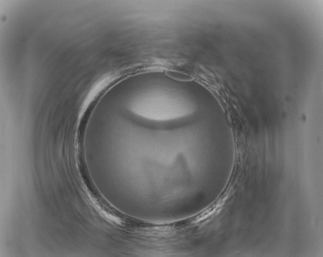 X0000063510102200601231512