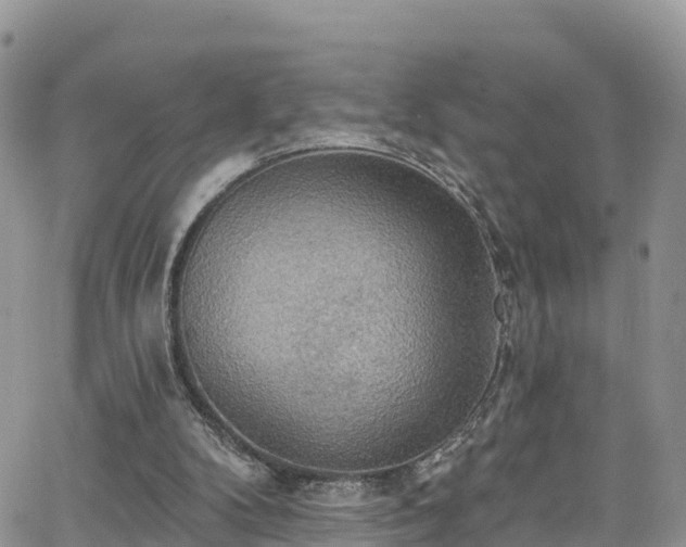 X0000063510104200601231512