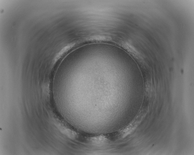 X0000063510112200601231512