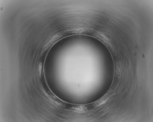 X0000063510118200601231512