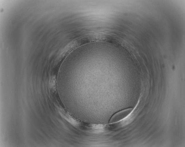 X0000063510144200601231512