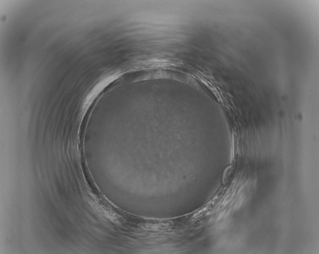 X0000063510147200601231511