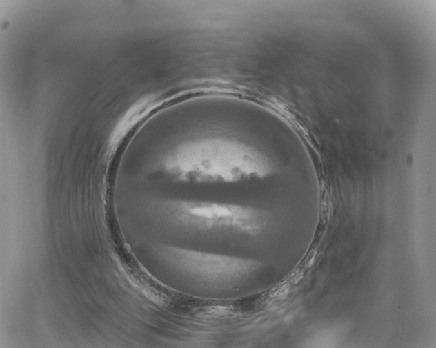 X0000063510151200601231511