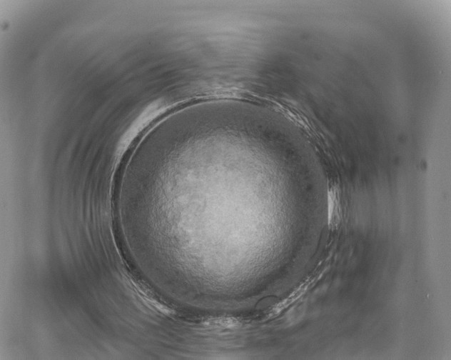 X0000063510195200601231511