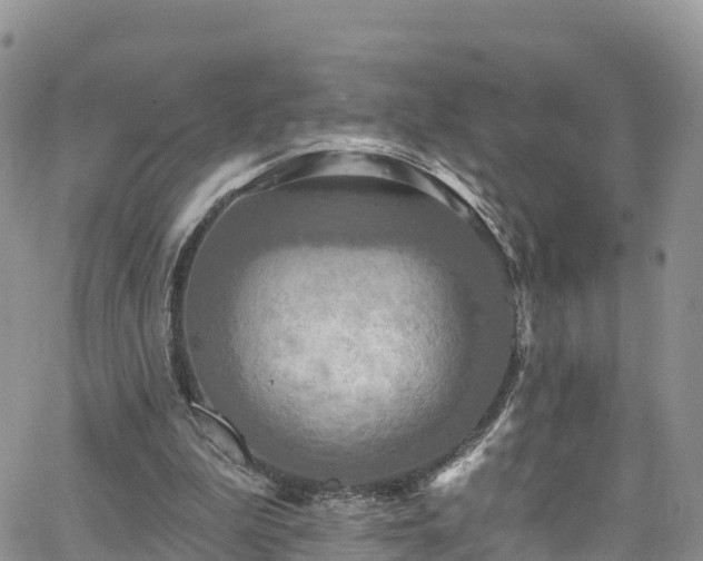 X0000063510199200601231511