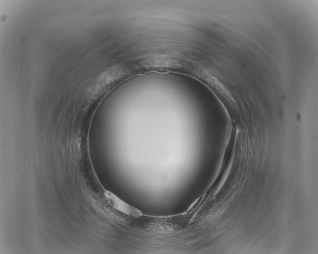 X0000063510207200601231511