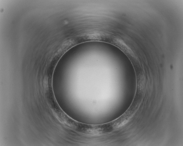 X0000063510213200601231510