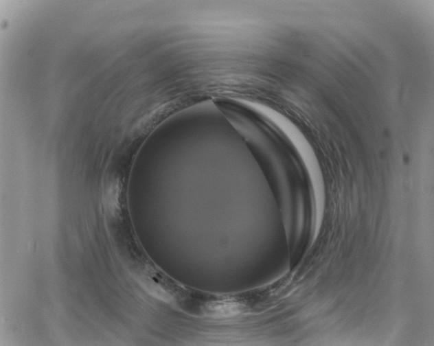 X0000063510219200601231510
