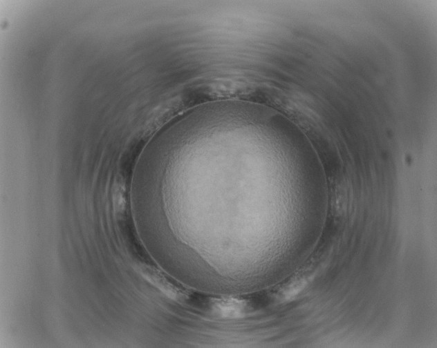 X0000063510226200601231510