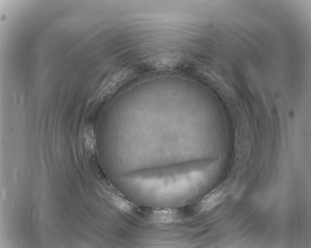 X0000063510240200601231510