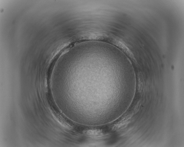 X0000063510251200601231509
