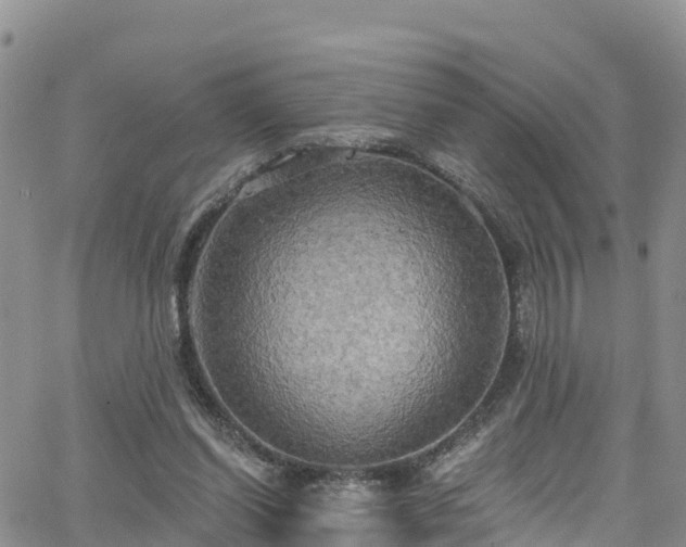 X0000063510254200601231509
