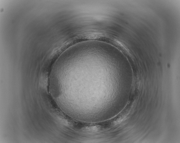 X0000063510307200601231509