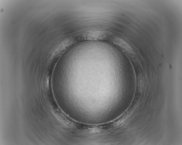X0000063510310200601231509