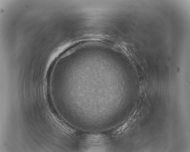 X0000063510342200601231508
