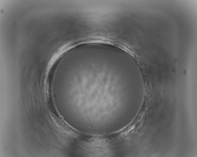 X0000063510343200601231508