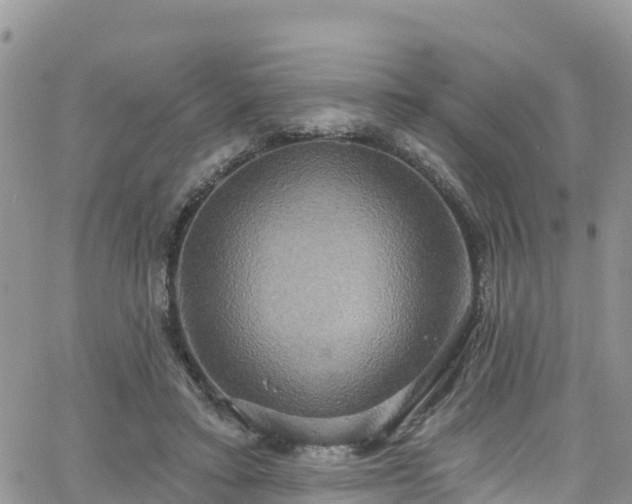 X0000063510403200601231507