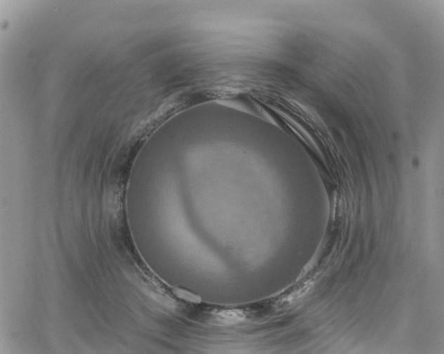 X0000063510409200601231507
