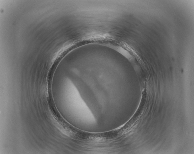 X0000063510582200601231504